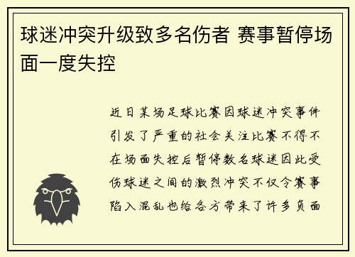 球迷冲突升级致多名伤者 赛事暂停场面一度失控